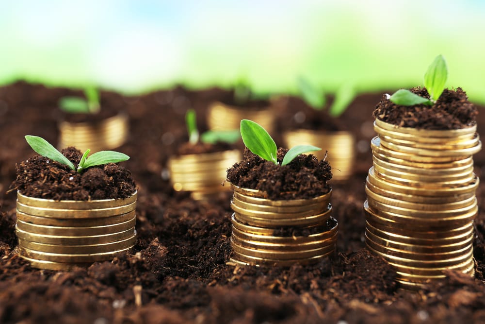 Different Kinds Of Investment and Their Advantages. Part 1